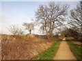 Harland Way east of Spofforth