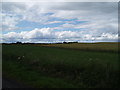 NO5242 : Farmland near Curleys by Douglas Nelson