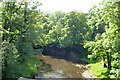 River Esk from Hecks Wood Bridge