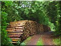 Logs, Handcross Road