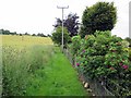 Footpath from Chollerford to Humshaugh