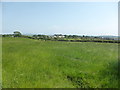 Fields near Rhosybol