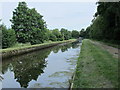 The New River by Fairfax Road, N8