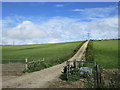 Track to Field Barn