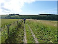 Top of a descent near Buriton Farm