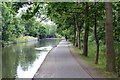 Trees along the towpath of the Nottingham & Beeston Canal