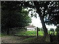 Saint Mary Magdalene, Woodborough