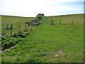 Four fields meet, east of Coed Bryngwynmawr