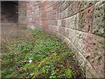 SJ4065 : Curved retaining wall below the Grosvenor Bridge by John S Turner