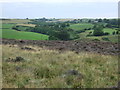 Moorland near Stonegate