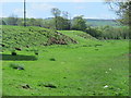 Pasture by the River Irthing north of Bittlestones