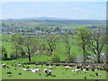 Farmland around Irthing House