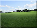 View towards Broadlea