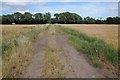 Track and footpath