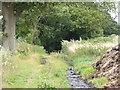 Track between fields going south to the A272