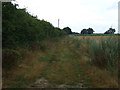 Farm track off Kenninghall Road