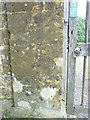 Benchmark on gatepost, Odcombe Lodge