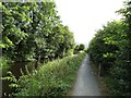 Towpath and canal