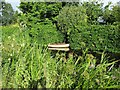 Boat hidden in greenery