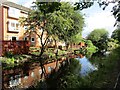 Canal reflections