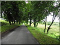 Road at Derrynavogy