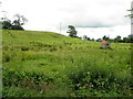 Derrynavogy Townland