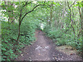 Footpath leading to River Douglas