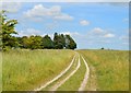 SU4384 : The Ridgeway, Lockinge, Oxfordshire by Oswald Bertram