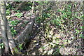 Ditch and culverts on east side of A419