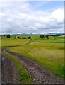 Arable Near Greenburn