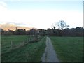 Footpath to Portinscale