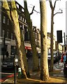 TQ3082 : South on Argyle Street from Euston Road, King's Cross, London by Robin Stott