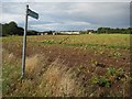 SO8545 : Footpath and potato field by Philip Halling