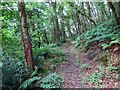 Uwchlaw Nant yr Hebog / Above Nant yr Hebog