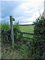 Footpath to Todburn