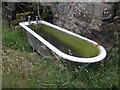 Water trough at Brightworthy