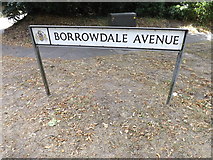 TM1745 : Borrowdale Avenue sign by Geographer