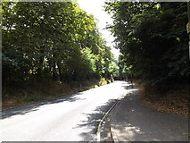 TM1745 : Tuddenham Road, Ipswich by Geographer