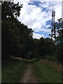 Bridleway near Geddington Chase