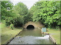 The New River south of Park Avenue, N22