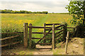 Kissing gate