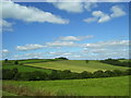 Pastoral view from St Cynin