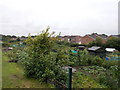 Allotments - Queensgate