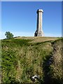 SY6187 : Hardy Monument and rivet, Black Down by Becky Williamson