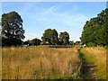 Scaynes Hill Common