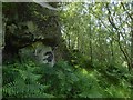 Rock face near Whitehill