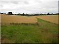 Banbury: Arable land off Wykham Lane