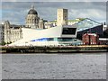 SJ3389 : The Museum of Liverpool by David Dixon