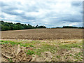 Ploughed field south of Fillets Farm