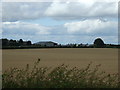 NT9444 : Crop field towards Felkington by JThomas